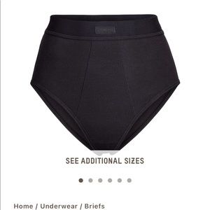 SKIMS Cotton Rib Brief in Soot size XS